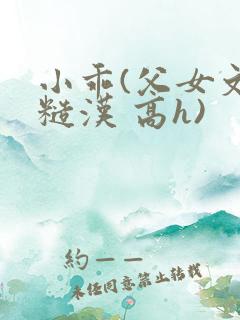 小乖(父女文 糙汉 高h)