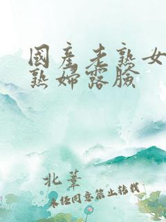 国产老熟女伦老熟妇露脸