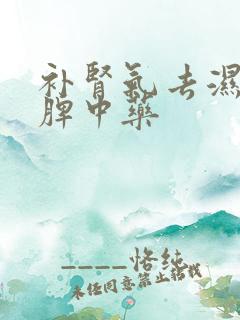 补肾气去湿气健脾中药