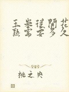 玉米从开花到成熟需要多久
