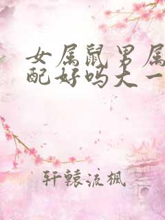 女属鼠男属牛婚配好吗大一岁