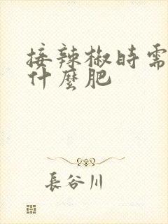 接辣椒时需要施什么肥