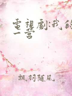 电视剧:我的特一营