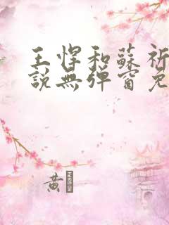 王悍和苏祈的小说无弹窗免费阅读