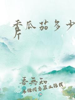 香瓜茄多少钱一斤