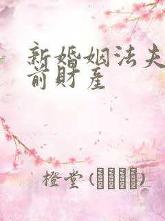 新婚姻法夫妻婚前财产