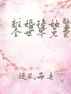 离婚后她惊艳了全世界免费阅读全文