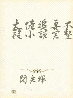 大佬追妻不择手段小说完整版本