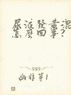 尿液发黄混浊是怎么回事?