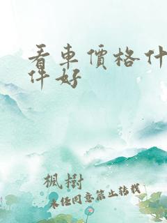 看车价格什么软件好
