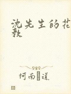 沈先生的花式调教