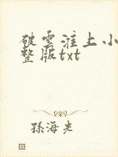 破云淮上小说完整版txt