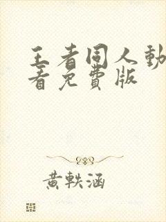 王者同人动画观看免费版