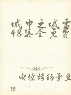 城中之城电视剧48集全免费完整版