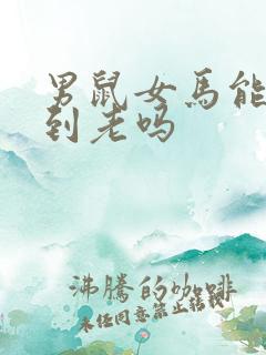 男鼠女马能白头到老吗 男鼠女马能白头到老吗