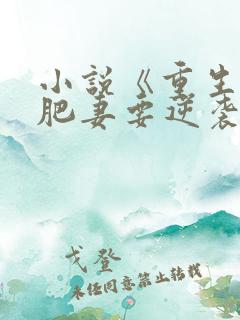 小说《重生八零肥妻要逆袭》