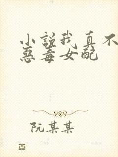 小说我真不想做恶毒女配