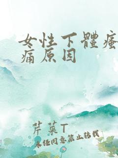 女性下体瘙痒肿痛原因