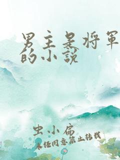 男主是将军姓萧的小说