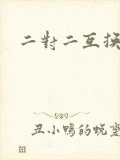二对二互换共享