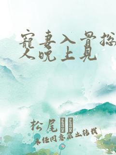 宠妻入骨总统大人晚上见