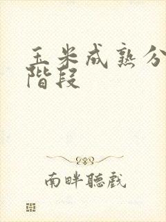 玉米成熟分几个阶段