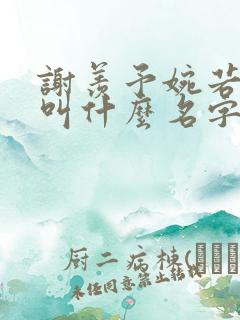 谢羡予婉若小说叫什么名字