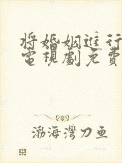 将婚姻进行到底电视剧免费观看完整版