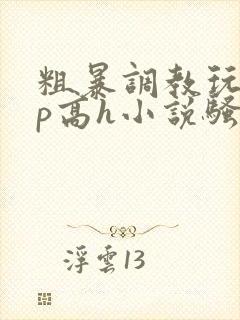 粗暴调教玩弄np高h小说骚受