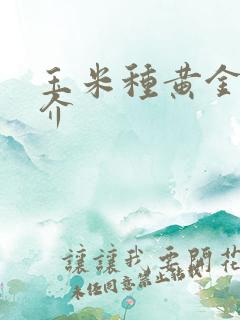 玉米种黄金粮简介