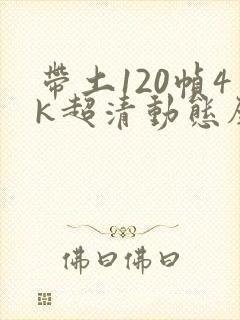 带土120帧4k超清动态壁纸