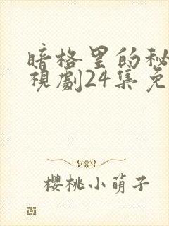 暗格里的秘密电视剧24集免费观看