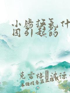 小肠换气什么原因引起的