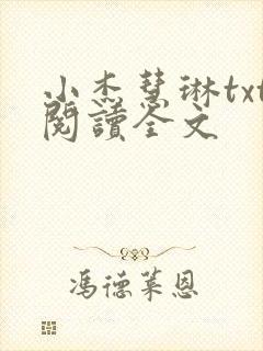小杰慧琳txt阅读全文