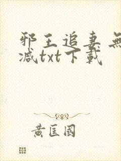 邪王追妻 无删减txt下载