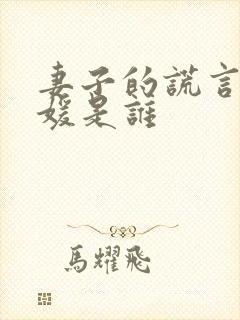 妻子的谎言孙佳媛是谁