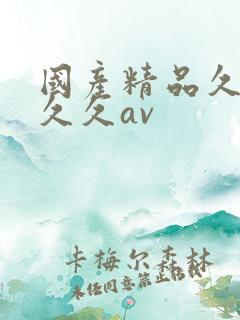 国产精品久久久久久av
