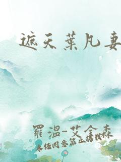 遮天叶凡妻子