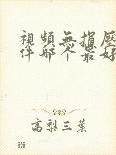 视频无损压缩软件哪个最好