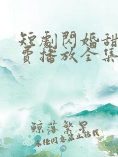短剧闪婚甜妻免费播放全集