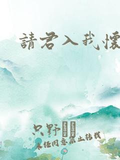 请君入我怀网剧