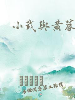 小武与黄蓉
