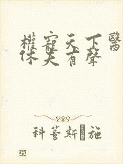 权宠天下医妃要休夫有声