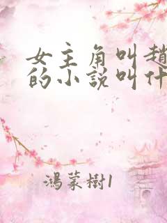 女主角叫赵锦儿的小说叫什么名字