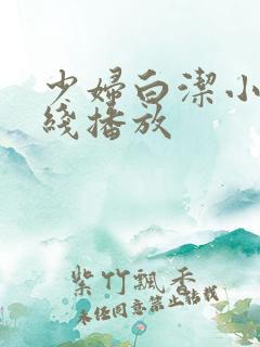 少妇白洁小说在线播放