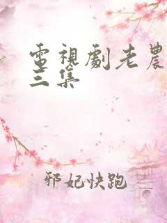 电视剧老农民第三集