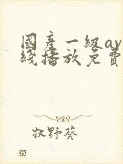 国产一级av在线播放免费