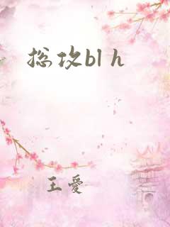 总攻bl h
