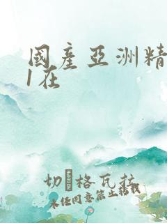 国产亚洲精品91在