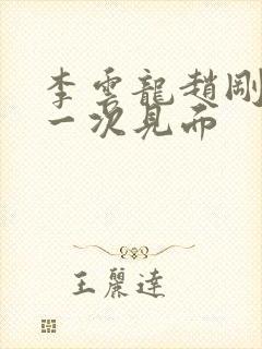 李云龙赵刚最后一次见面